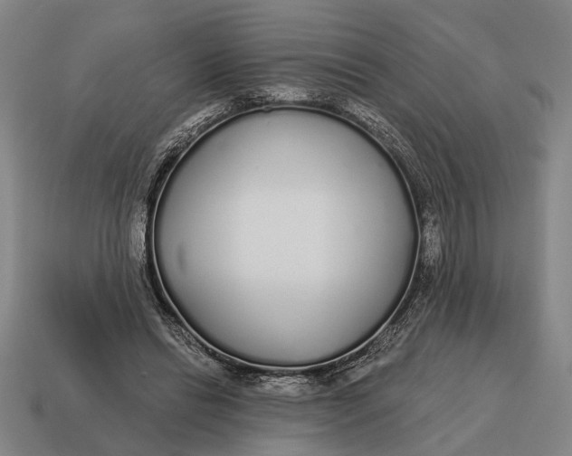 X0000115110446200911101609