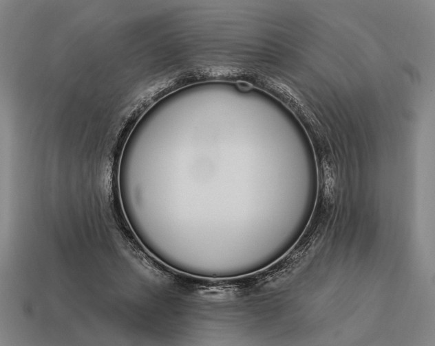 X0000115110447200911101609