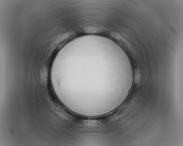 X0000115110448200911101609