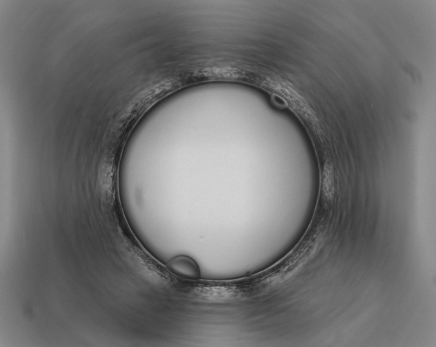 X0000115110449200911101609