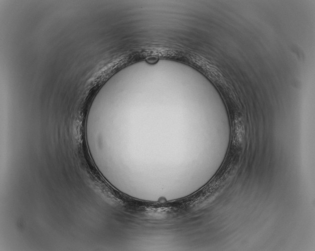 X0000115110450200911101609