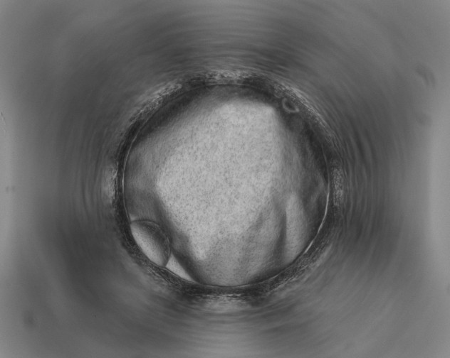 X0000115110451200911101609