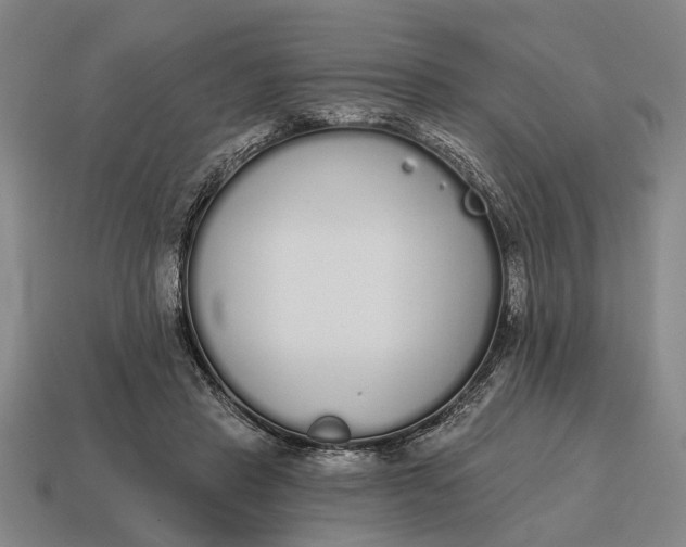 X0000115110453200911101609
