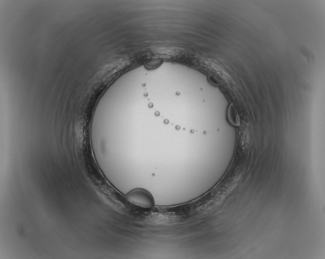 X0000115110455200911101609