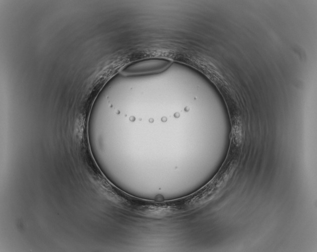 X0000115110458200911101609