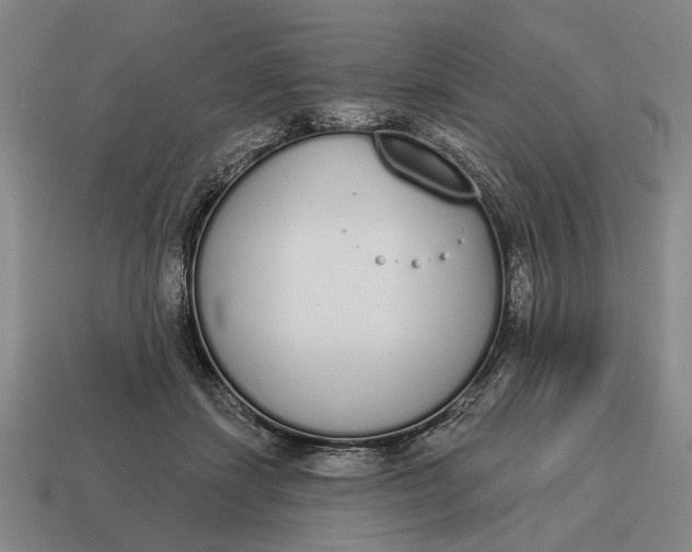 X0000115110459200911101609