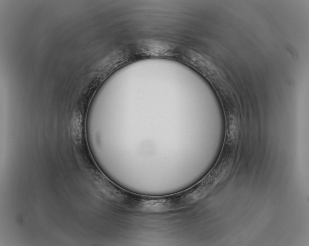 X0000115110461200911101609