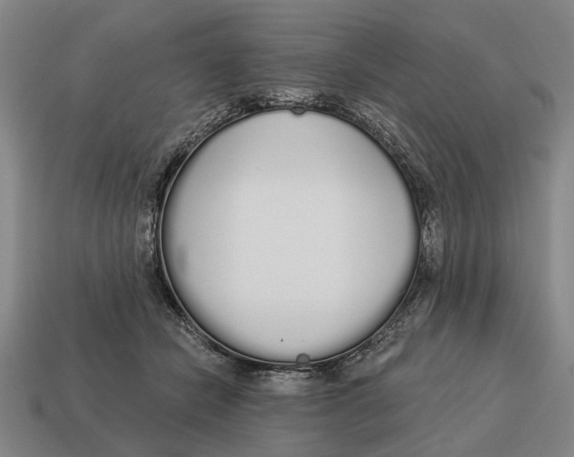 X0000115110462200911101609