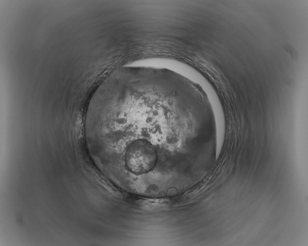 X0000115110465200911101609