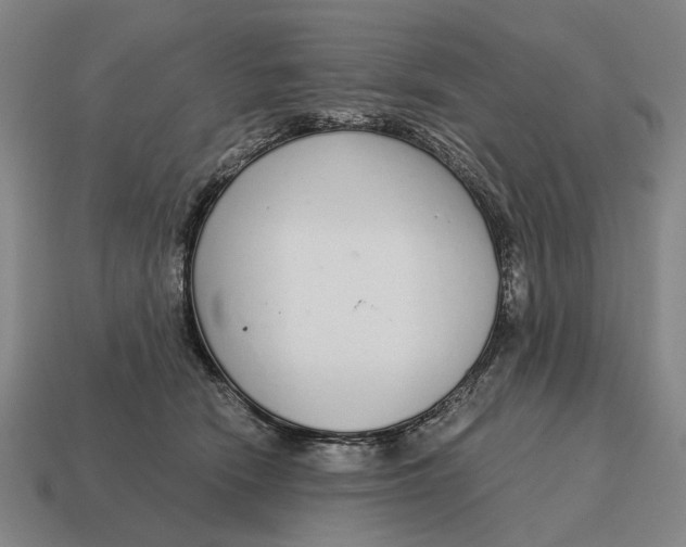 X0000115110466200911101609