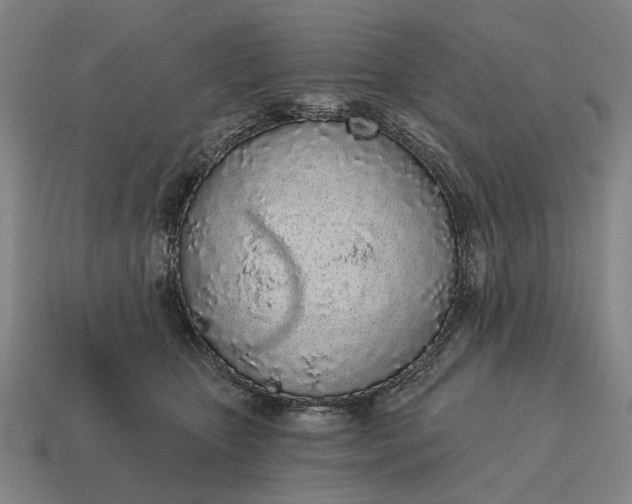 X0000115110467200911101609