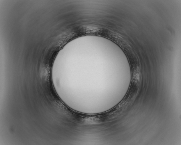 X0000115110468200911101609