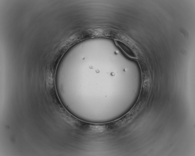 X0000115110469200911101609