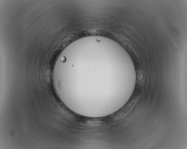 X0000115110470200911101609