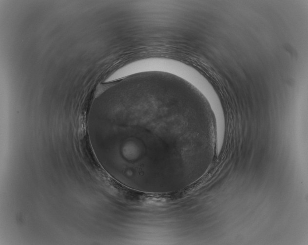 X0000115110471200911101609