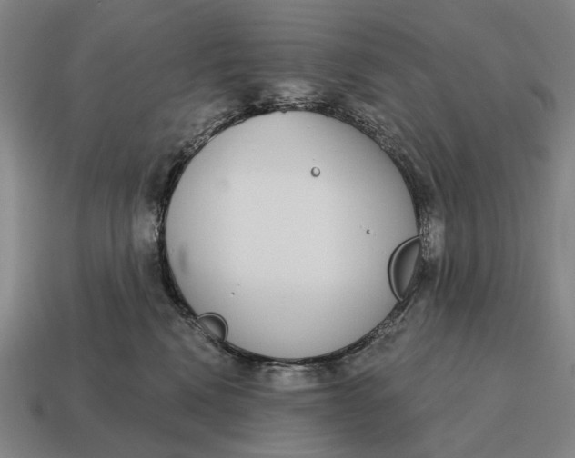 X0000115110472200911101609