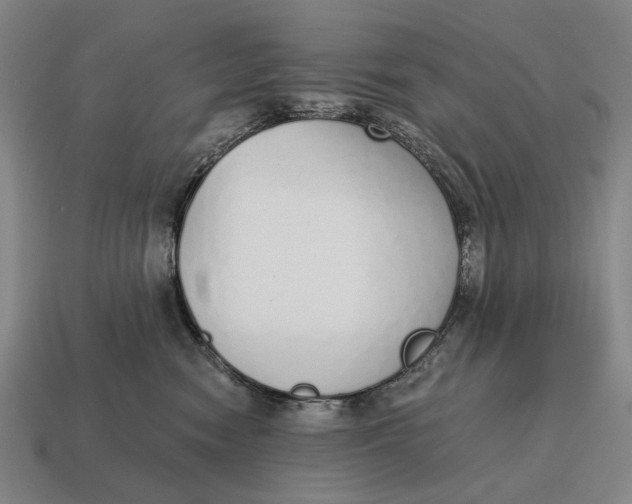 X0000115110474200911101609
