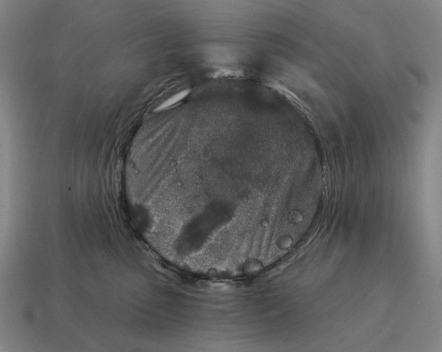 X0000115110475200911101610