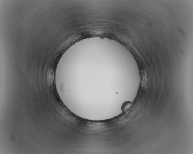 X0000115110476200911101610