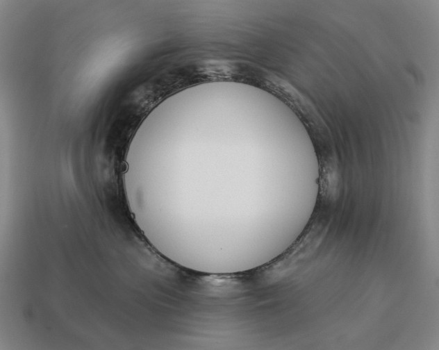 X0000115110477200911101610