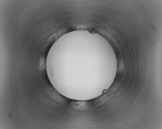 X0000115110478200911101610