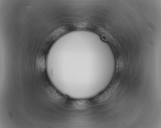 X0000115110479200911101610
