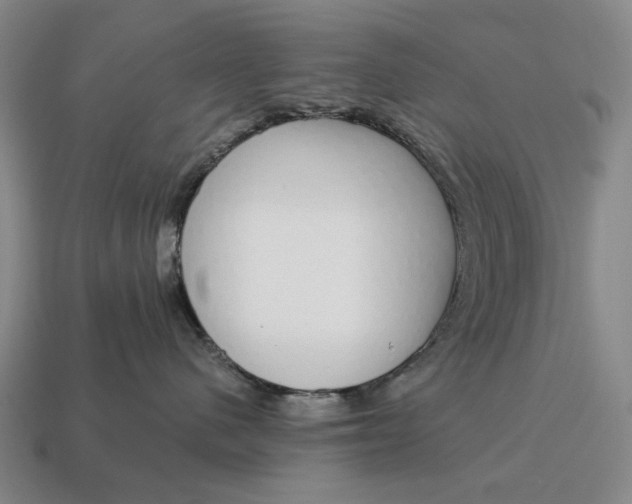X0000115110480200911101610