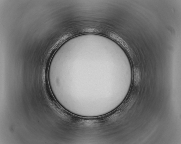 X0000115110482200911101609