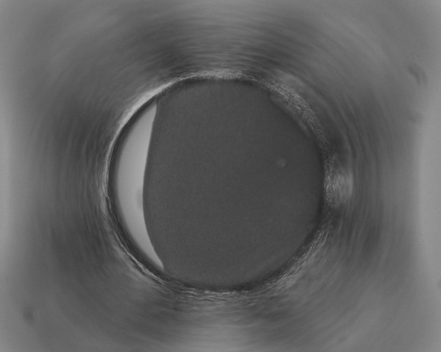 X0000115110484200911101609