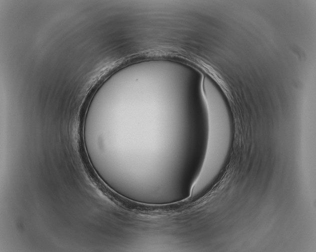 X0000115110485200911101609