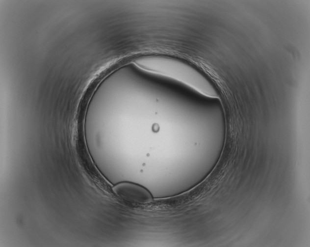 X0000115110488200911101609