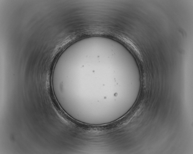 X0000115110489200911101609