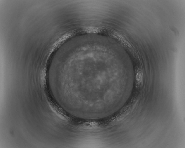 X0000115110492200911101609