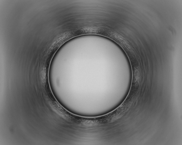X0000115110494200911101609