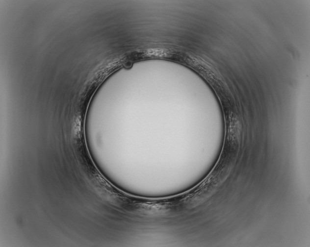 X0000115110502200911101609