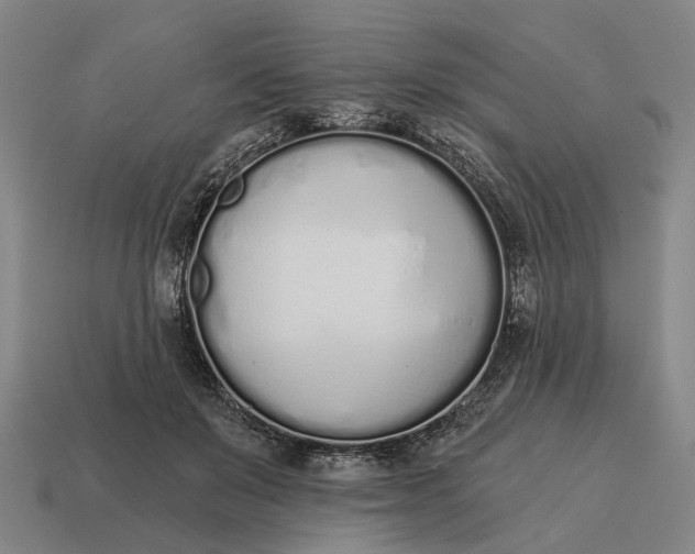 X0000115110503200911101609