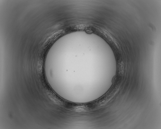 X0000115110505200911101609