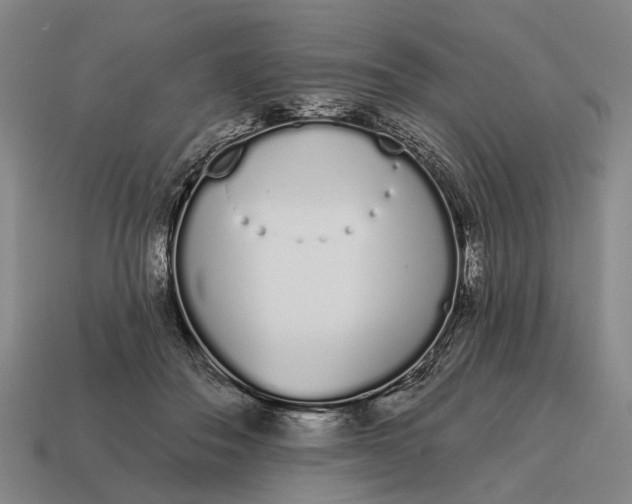 X0000115110506200911101609