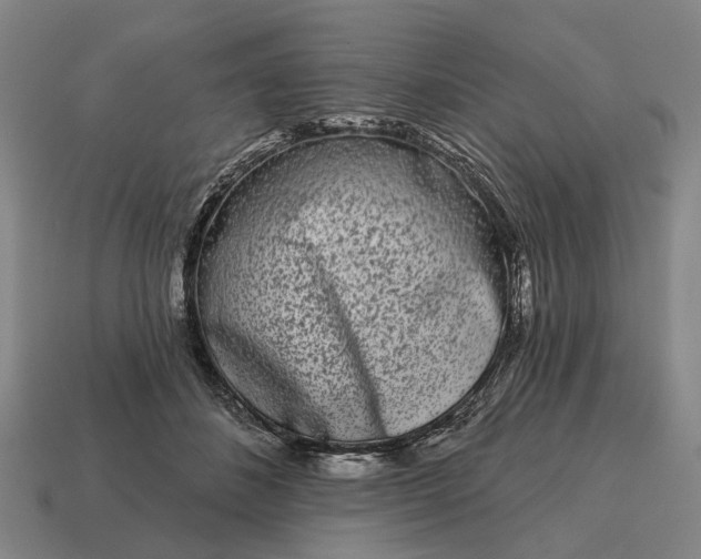 X0000115110508200911101609