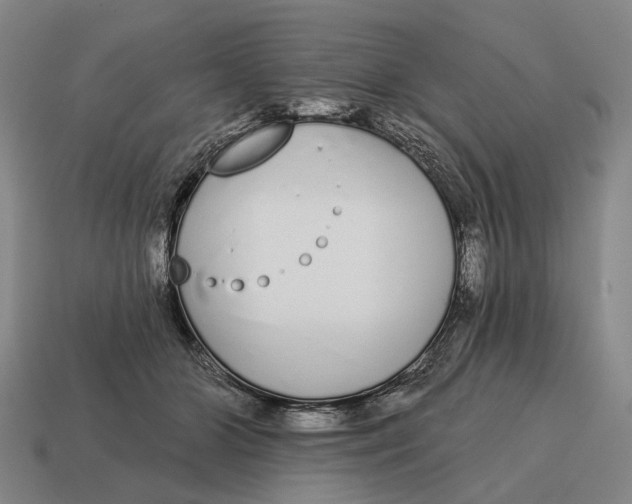 X0000115110510200911101609