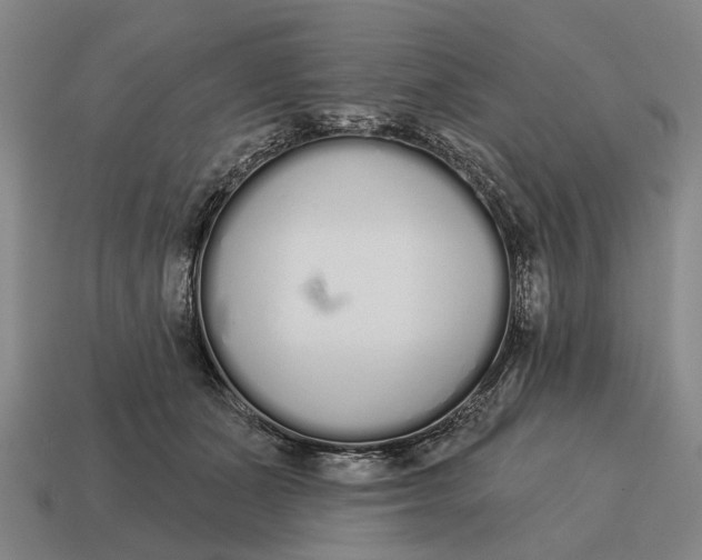 X0000115110511200911101609