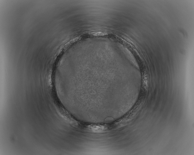 X0000115110512200911101609