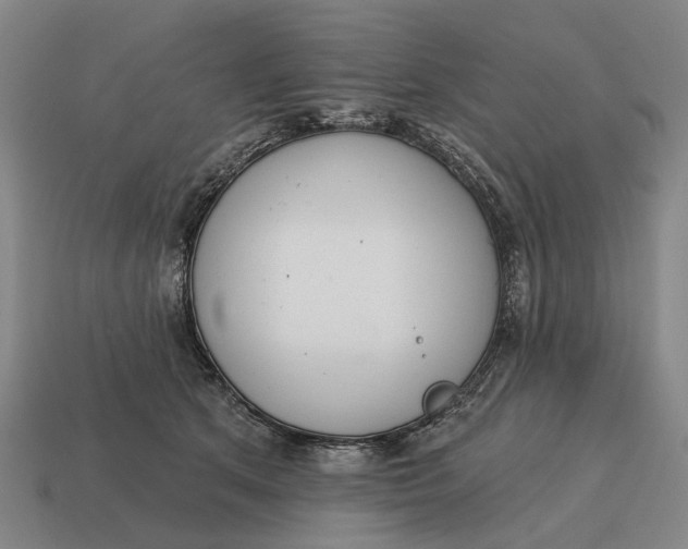 X0000115110513200911101609
