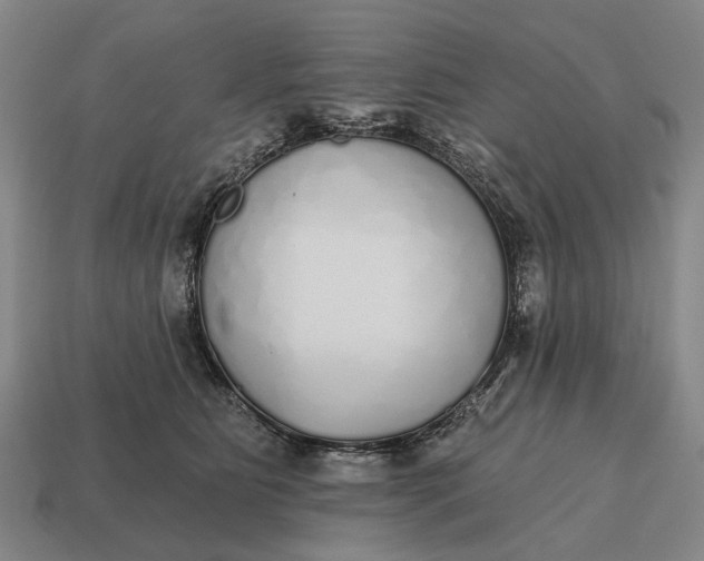 X0000115110515200911101609