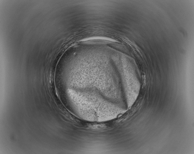 X0000115110517200911101608