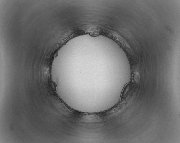 X0000115110521200911101608