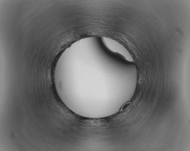 X0000115110524200911101608