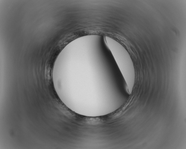 X0000115110525200911101608
