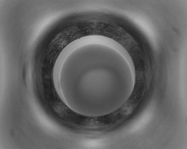 X0000115110526200911101608