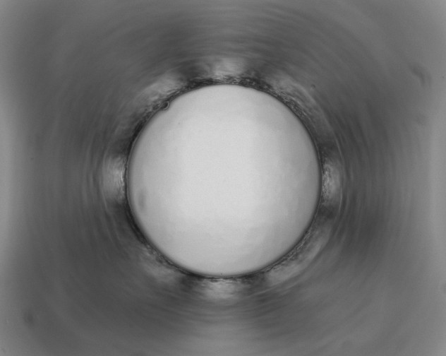 X0000115110527200911101608